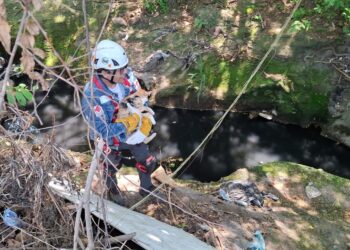 Final feliz para gatito rescatado en la Quebrada en Quezaltepeque