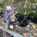 Final feliz para gatito rescatado en la Quebrada en Quezaltepeque