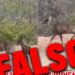 Video sobre supuestos venados en El Espino fue grabado en México
