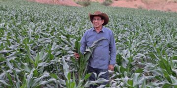 Avanza la siembra nacional con apoyo de productores, cooperativas y sistemas de riego