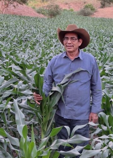 Avanza la siembra nacional con apoyo de productores, cooperativas y sistemas de riego