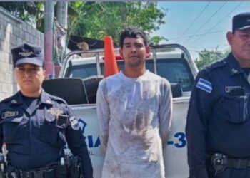 Capturan «al Toro» pandillero de la Mao Mao en Ciudad Delgado