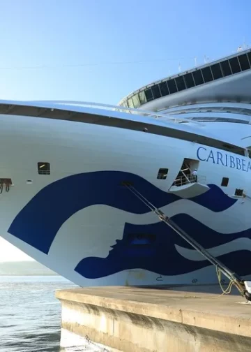 Brote gastrointestinal en crucero deja más de un centenar de afectados a bordo