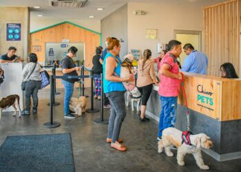 Chivo Pets mantiene alta demanda de servicios veterinarios y amplía cobertura en 2026