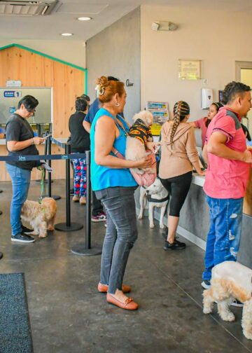 Chivo Pets mantiene alta demanda de servicios veterinarios y amplía cobertura en 2026