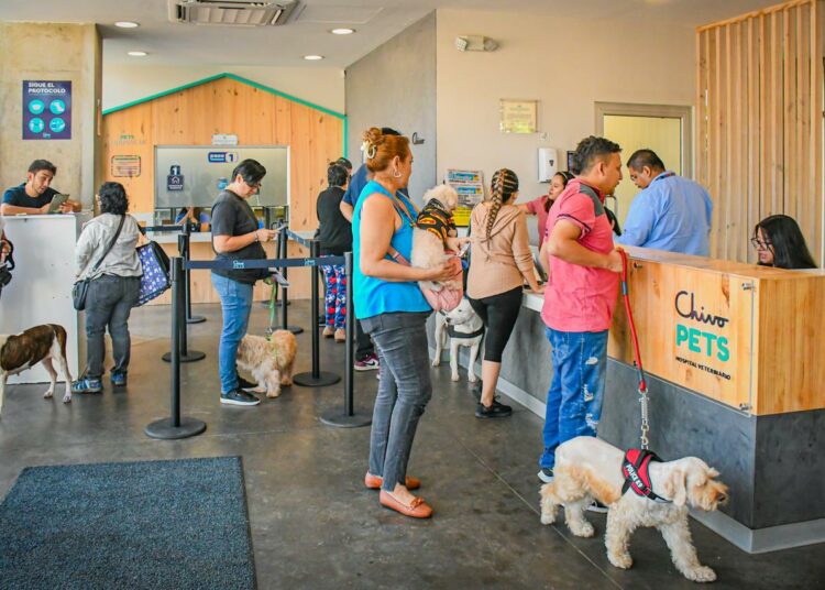 Chivo Pets mantiene alta demanda de servicios veterinarios y amplía cobertura en 2026