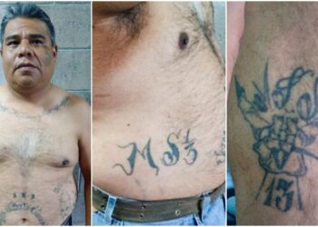 Capturan a fundador de la clica Merliot Locos Salvatruchos de la MS13