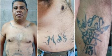 Capturan a fundador de la clica Merliot Locos Salvatruchos de la MS13
