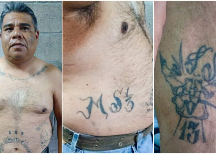 Capturan a fundador de la clica Merliot Locos Salvatruchos de la MS13