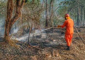 Bomberos reporta más de 3,700 incendios en El Salvador durante 2026