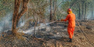 Bomberos reporta más de 3,700 incendios en El Salvador durante 2026