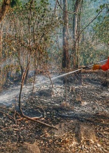Bomberos reporta más de 3,700 incendios en El Salvador durante 2026