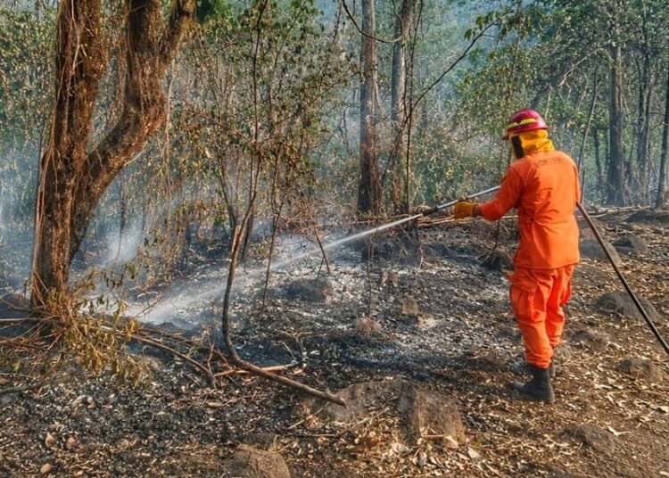 Bomberos reporta más de 3,700 incendios en El Salvador durante 2026
