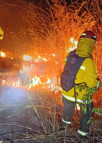 Protección Civil intensifica medidas preventivas ante aumento de incendios por ola de calor