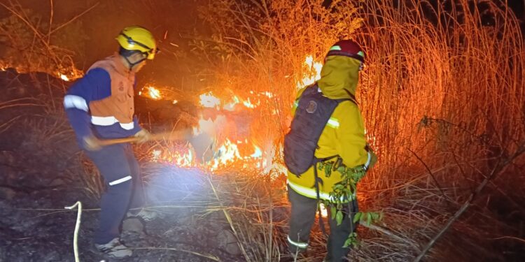 Protección Civil intensifica medidas preventivas ante aumento de incendios por ola de calor
