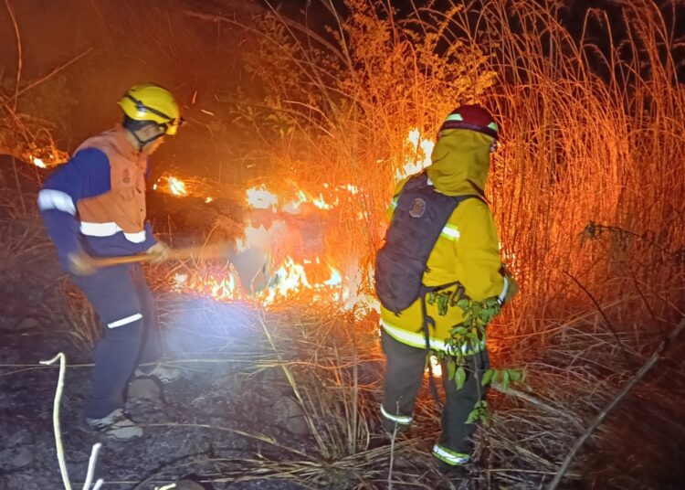 Protección Civil intensifica medidas preventivas ante aumento de incendios por ola de calor