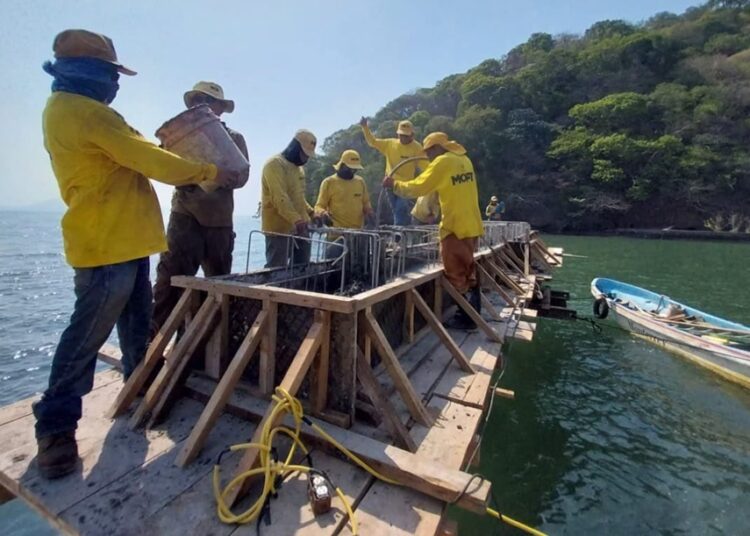 Nuevo muelle en Conchagüita buscará fortalecer la pesca y el desarrollo local