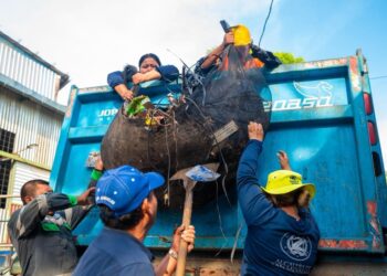 Operativos municipales refuerzan limpieza, orden y seguridad en San Salvador Centro