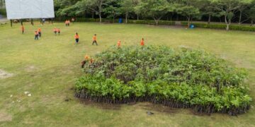 Miles de árboles serán sembrados en El Espino y Parque Bicentenario durante jornada ambiental