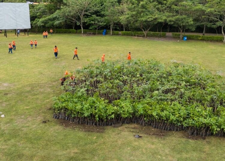 Miles de árboles serán sembrados en El Espino y Parque Bicentenario durante jornada ambiental