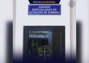 Vehículos pasarán a favor del Estado