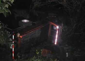 Pick up cae a un barranco luego de impactar contra una res en la vía