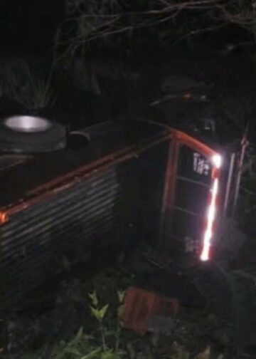Pick up cae a un barranco luego de impactar contra una res en la vía