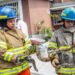 Bomberos rescataron y liberaron 346 serpientes en los primeros meses de 2026