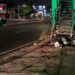 Peatón pierde la vida atropellado en bulevar Los Próceres
