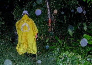 “Si se les pide evacuar, por favor no se nieguen a evacuar”, exhorta Luis Amaya ante alerta naranja por lluvias en el país