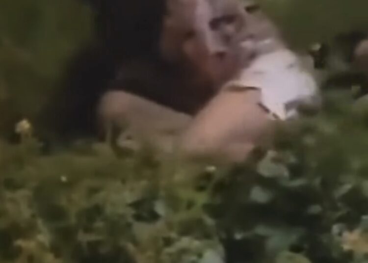 Video muestra violenta pelea en barrio Lourdes; vecinos solicitan acción de la PNC