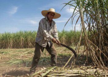 Asociación Azucarera destaca salida de El Salvador de la lista corta de la OIT