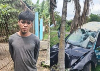 Conductor ebrio es detenido tras chocar contra un árbol en La Libertad