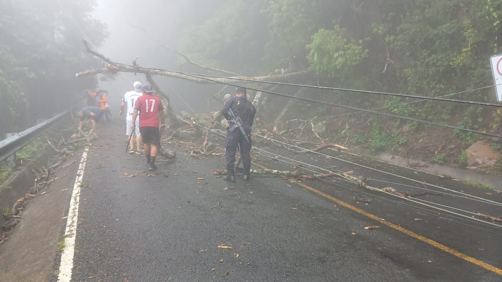 Paso cerrado por caída de árboles en carretera hacia Tamaniq