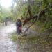 Habilitan paso hacia Comasagua tras retiro de árbol que cayó sobre la vía