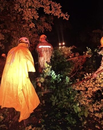 Soldados retiran árbol caído en vía de Zacatecoluca
