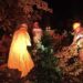 Soldados retiran árbol caído en vía de Zacatecoluca