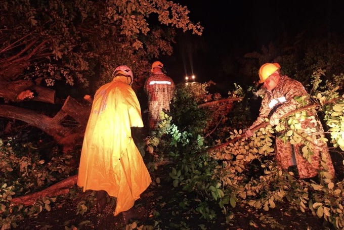 Soldados retiran árbol caído en vía de Zacatecoluca