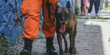 Binomios caninos listos para ejecutar misión humanitaria en Venezuela