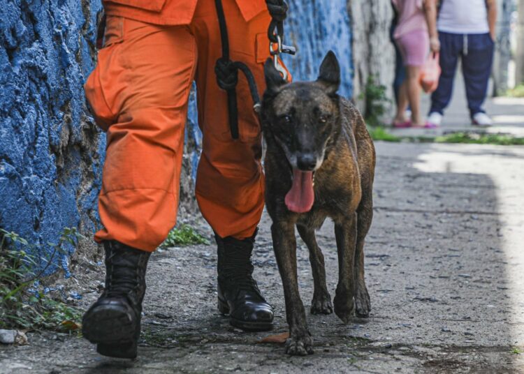Binomios caninos listos para ejecutar misión humanitaria en Venezuela
