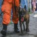 Binomios caninos listos para ejecutar misión humanitaria en Venezuela