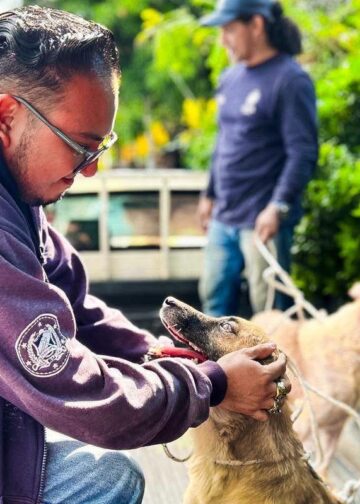 Autoridades intervienen vivienda y ponen bajo resguardo a dos perros en San Salvador