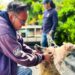 Autoridades intervienen vivienda y ponen bajo resguardo a dos perros en San Salvador