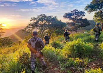 Junio ya registra 18 días sin homicidios y El Salvador acumula 146 en 2026