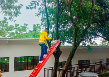 Reos del Plan Cero Ocio atienden daños en escuela de Nejapa debido a lluvias