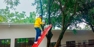 Reos del Plan Cero Ocio atienden daños en escuela de Nejapa debido a lluvias