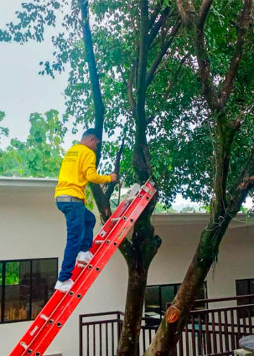 Reos del Plan Cero Ocio atienden daños en escuela de Nejapa debido a lluvias