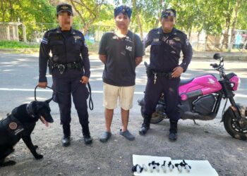 Capturan a sujeto con droga durante control vehicular tras intervención de binomio canino