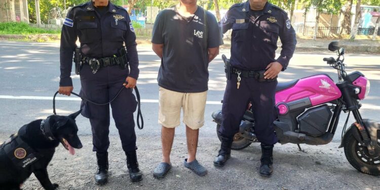 Capturan a sujeto con droga durante control vehicular tras intervención de binomio canino