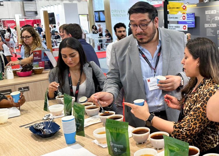 Café salvadoreño incursiona con éxito en evento especializado en Bruselas